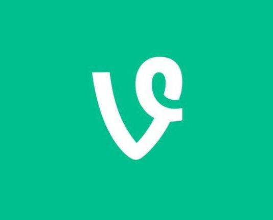 What is Vine? The Video platform by Twitter Vine The Video platform by Twitter