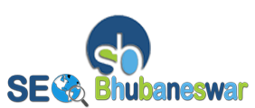 SEO Bhubaneswar Logo