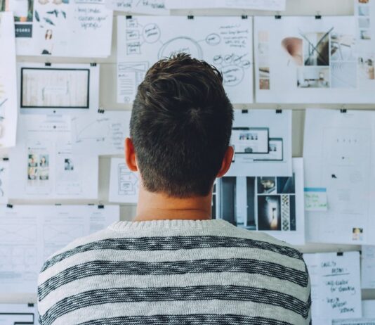 How to Choose a Web Developer For Your Business? Web Developer