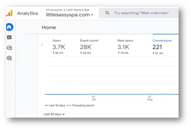 Little Sassy Spas Analytics Little Sassy Spas Analytics